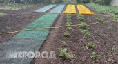 Больше ни одного холмика на грядках: использую этот простой предмет и кроты покидают участок навсегда