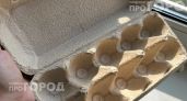 Перестала выбрасывать картонные лотки от яиц: они заменят дорогие приспособления для сада и огорода