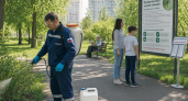 На Кубани клещи укусили 2000 человек: каждый шестой оказался заражён