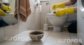 Больше не покупаю дорогую химию для сантехники: чайный пакетик в унитазе творит чудеса чистоты за копейки