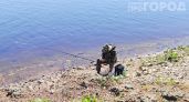 Забудьте про химию: этот копеечный продукт с кухни отпугивает комаров на целые сутки без вреда для здоровья