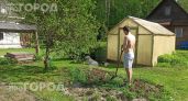 Всего одно полотенце на траве: этот простой лайфхак за пару минут поможет вычислить клещей на вашем участке