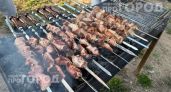 Хватит портить мясо на мангале: бросьте щепотку в угли перед готовкой и забудьте о горелых кусках навсегда