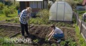 Заговор шести соток: почему в СССР власти строго ограничивали размер дачных участков для каждого гражданина