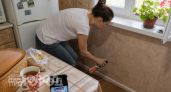 Муравьи покинут участок за одну ночь: просто нанесите это кухонное средство на ватный диск и разложите его