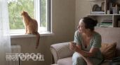Ваш кот часами смотрит в пустоту: вот что скрывается в углах квартиры на самом деле для его зрения
