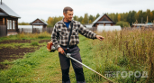 Выбросил триммер с леской в дальний угол: вот как научился косить траву - брею под "ноль" и спина не устала