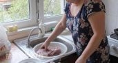 Перестала ждать часами разморозки мяса: использую простой домашний трюк и получаю мягкий продукт за 10 минут