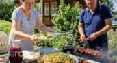 Больше не готовлю обычный салат к шашлыку: этот гарнир из молодой капусты съедают первым до последнего куска