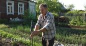 Комары исчезнут с участка за секунды: достаточно одного старого носка на палке для защиты от насекомых