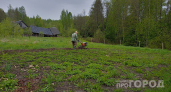 Дачники платят лишнее: какие налоги за участок и дом можно не платить по закону