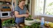 Забудьте про рассол и банки: эти хрустящие огурцы будут готовы к подаче уже через час после засолки