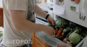 Больше не выбрасываю гниющие овощи: копеечное средство из аптеки сохраняет их свежесть на долгие недели