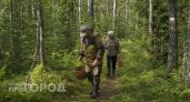 От опят до белых: лучшие грибные маршруты Краснодарского края