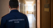 Бастрыкин поручил проверить арест 74-летнего пенсионера на Кубани после сюжета ТВ