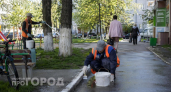 Белая краска на стволах деревьев это не просто эстетика: узнайте какой скрытый смысл скрыт за этим ритуалом