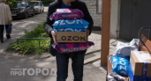 Выкиньте это из корзины прямо сейчас: три товара с Wildberries, которые принесут вам лишь разочарование