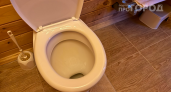 Перестаньте смывать воду с открытой крышкой: простая привычка убережет ваш дом от опасных бактерий