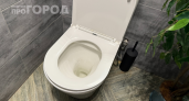 Обычные унитазы уходят в прошлое: узнайте, чем продвинутые владельцы квартир заменяют привычную сантехнику