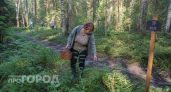 Где на Кубани собирают полные ведра белых грибов: список локаций