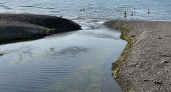 В Суджукской лагуне восстановили водообмен и выход молоди в Черное море