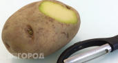 Зеленая картошка на кухне: проверьте свой урожай прямо сейчас чтобы не подвергать здоровье риску
