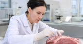Россельхознадзор выявил нарушения в 94 из 1193 образцов продуктов на юге России