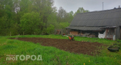 Забудьте про покупку навоза: горсть этой крупы сделает почву плодородной и рыхлой как пух уже в сентябре