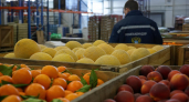 На рынок Краснодара за лето ввезли 2,5 тысячи тонн импортных фруктов