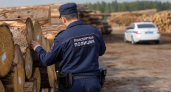Из Краснодарского края незаконно вывезли лесоматериалы на сумму более 2 млн рублей