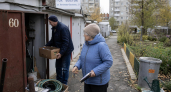 Избавилась от дачного рабства в 71 год: как я перестала работать на грядки и наконец зажила для себя