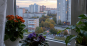 Аренда квартир в России снизилась впервые с 2020 года