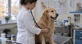 На Кубани приостановили оборот вакцины Мультикан после данных о риске для собак