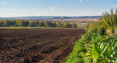На Кубани аренда и выкуп госземли подорожают после новой кадастровой оценки