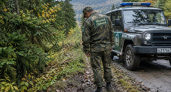 На карте встреч с медведями в Краснодарском крае отметили отель в Красной Поляне