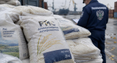 В Новороссийске не пустили партию риса из Турции из-за булавоусого хрущака
