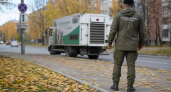 В Краснодаре с 5 октября начнется плановый отлов безнадзорных животных