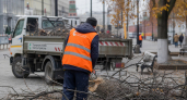Власти Краснодара объяснили вырубку на Промышленной аварийностью четырёх деревьев