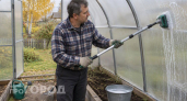 Избавьтесь от фитофторы навсегда: пять осенних дел в теплице которые гарантируют богатый урожай весной
