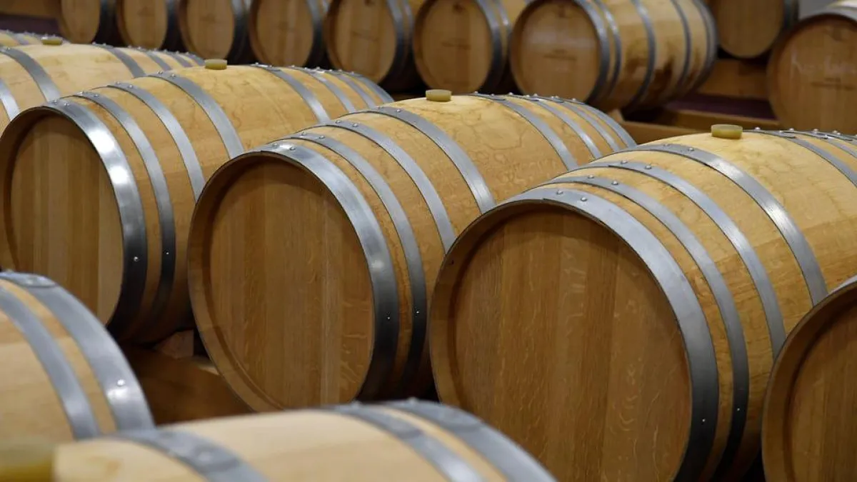 Экс-топ-менеджер «Лукойла» и итальянец Путина делят винодельню за 100 млн