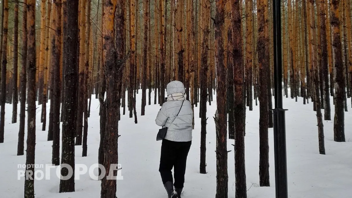 Деньги сами найдут дорогу: три знака зодиака станут магнитом для богатства уже в марте