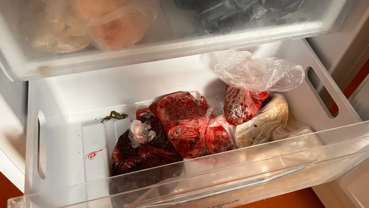 Достал из морозилки, а там каша: 5 продуктов, которые заморозка превращает в несъедобное месиво