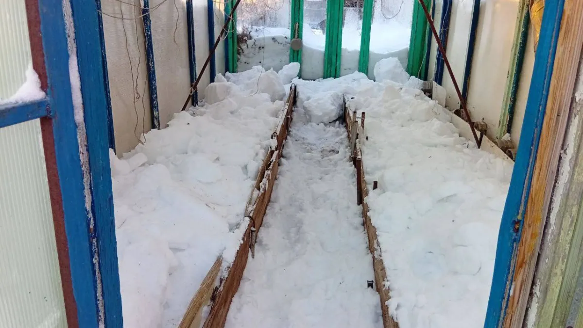 Зима на даче: как обкопать теплицу после снегопадов и зачем нужен трон из снега на крыше веранды — личный опыт