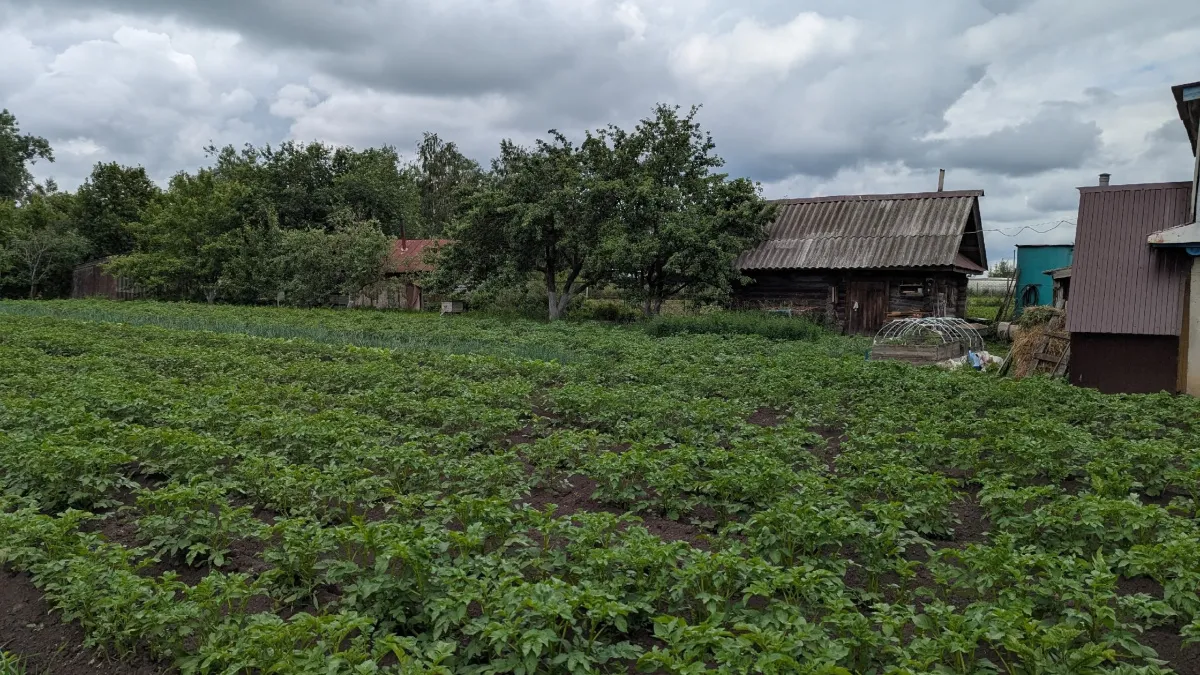 Пенсионеры-дачники в 2026 году могут существенно снизить налоговую нагрузку благодаря федеральным и региональным льготам