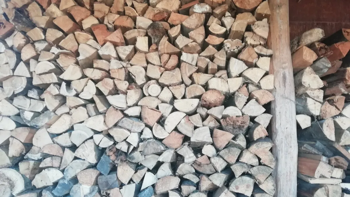 Сырые дрова больше не проблема: старый рецепт розжига, который не подведёт даже в дождь