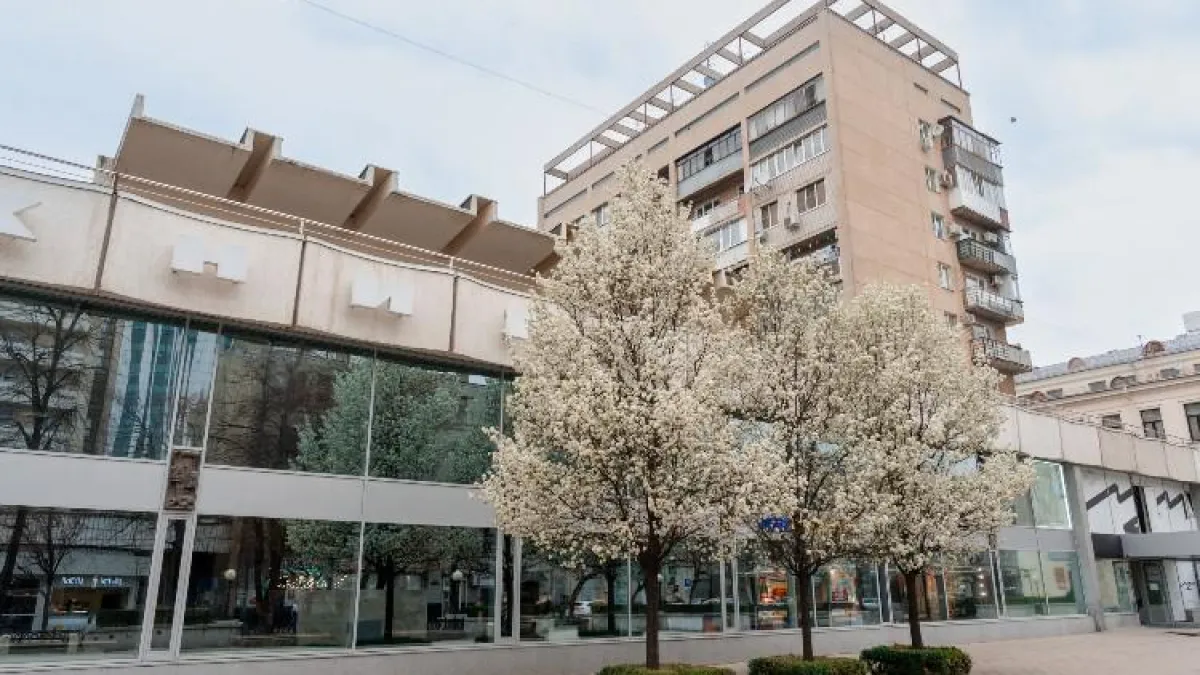 215 миллионов рублей потратят на спасение краснодарского «Дома книги»