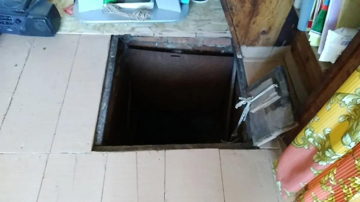 Сырость в погребе больше не проблема: вот что используют опытные дачники