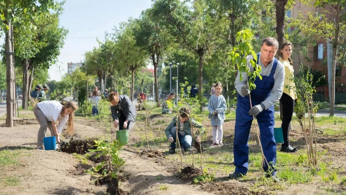 27 миллионов деревьев высадят на Кубани в память о погибших