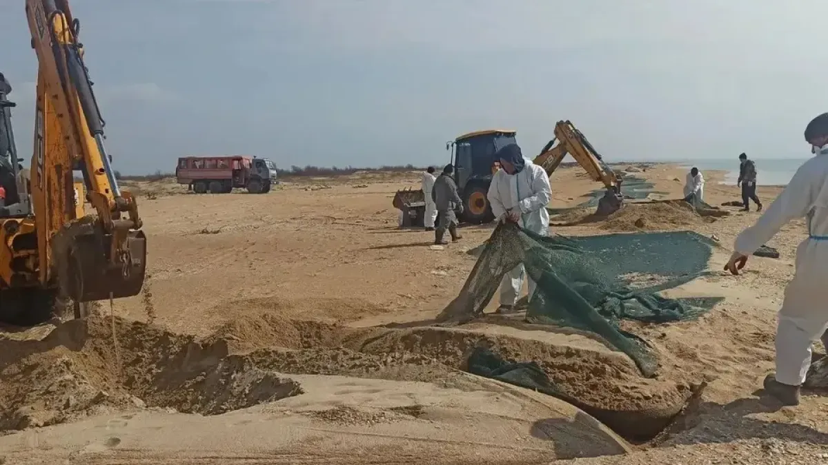 26 километров защитных сетей убрали с анапских пляжей после зимних штормов