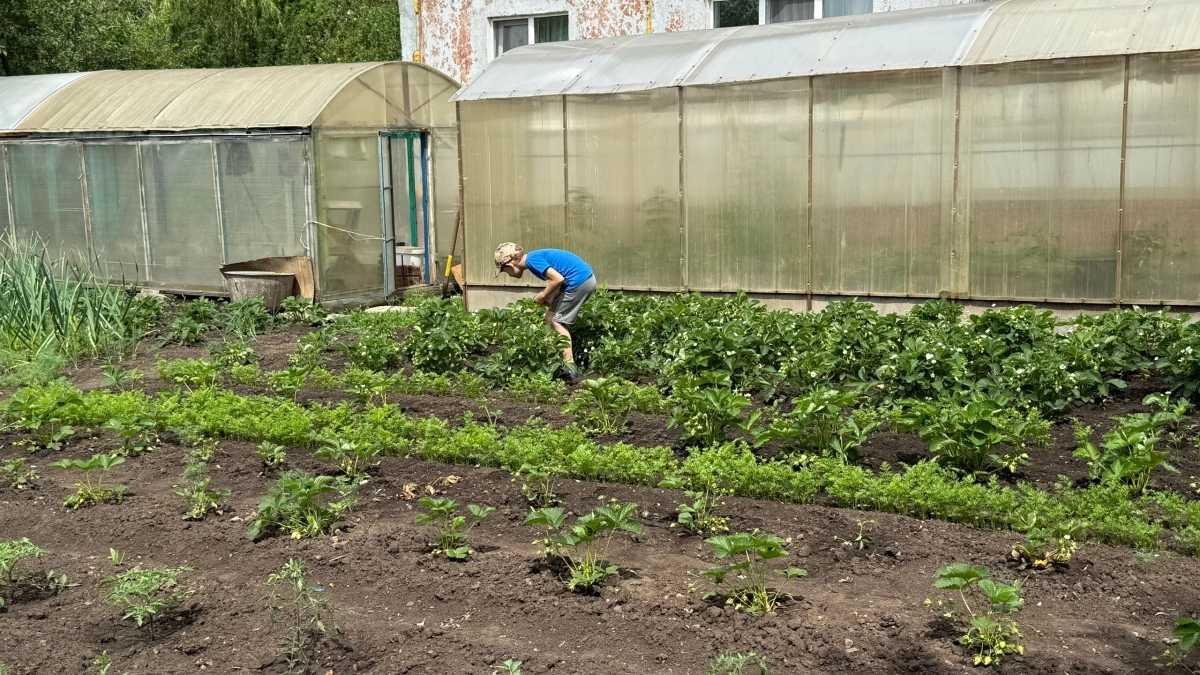 Дача больше не рай: какие штрафы ждут владельцев участков в 2026 году — узнайте, чтобы не попасть на деньги